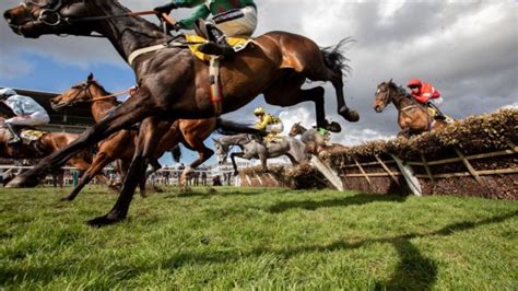 The 7 best Cheltenham tips for Tuesday's festival card .